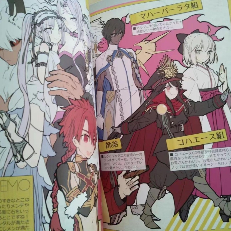 2 boeken Fate GO MEMO 1 2 Kuns - Fate Anime Merchandise recensie en prijs